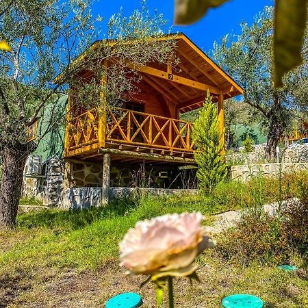 Kazdaglari Saglikli Yasam Koeyue Hotel Edremit  Buitenkant foto